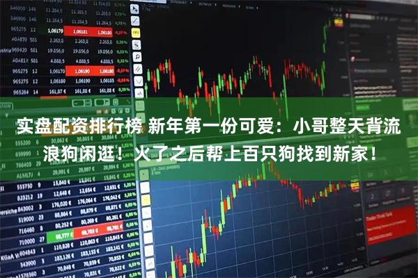 实盘配资排行榜 新年第一份可爱：小哥整天背流浪狗闲逛！火了之后帮上百只狗找到新家！